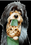 pic for Dog & Cat  